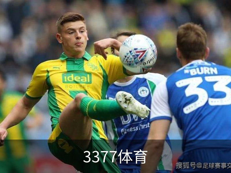 了解3377体育